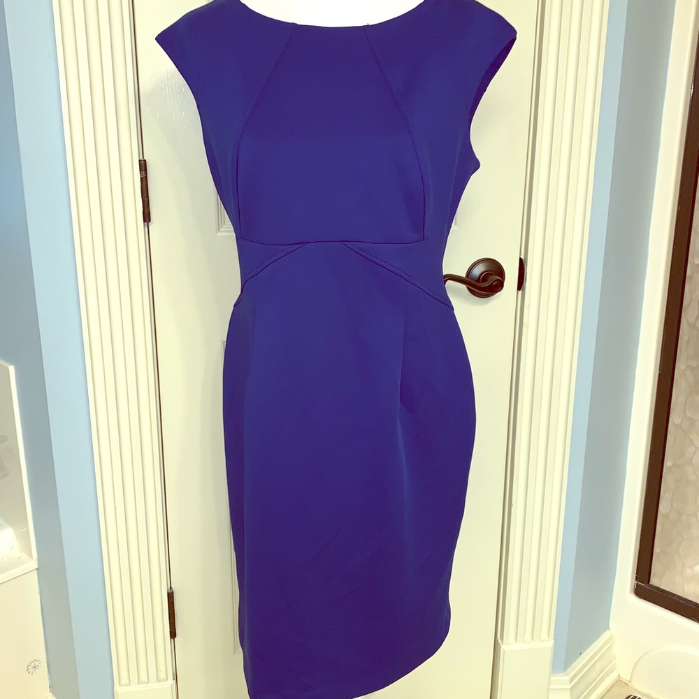 LN Calvin Klein dress perfect hourglass shaping
